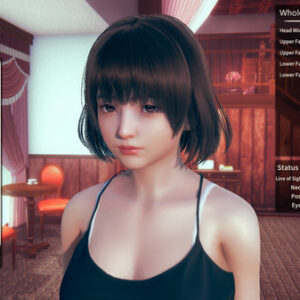 HoneySelect2Libido DX